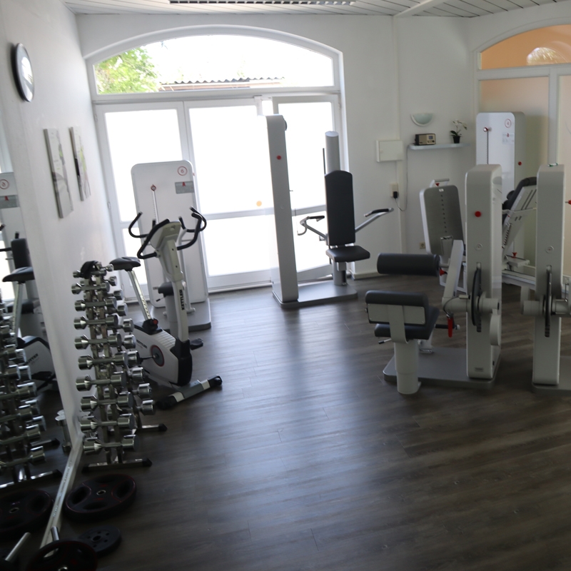 Trainingsraum mit Trainingsgeräten, ähnlich wie in einem Fitnessstudio. Links ist ein Spiegel zum Kurz- und Langhantel-Training. Daneben ein Turm mit Kurzhanteln und Gewichten am Boden. Im Hintergrund ist eine Fensterfront.